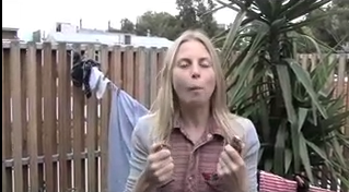 Picture 748.png