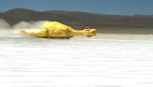 RUBBER-CHICKEN.png
