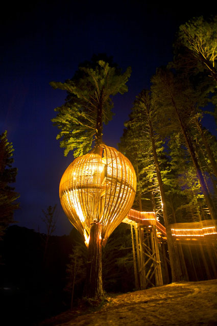 YELLOW_Night Portrait.jpg
