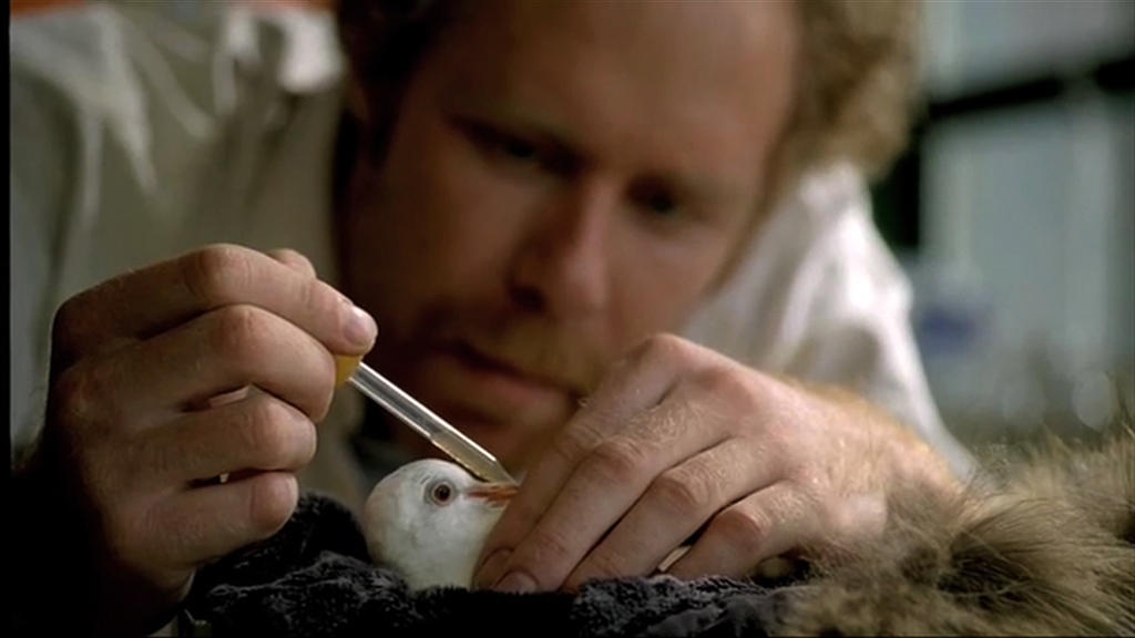 man feeding dove.jpg