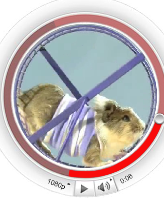Cadbury_Hamster.png