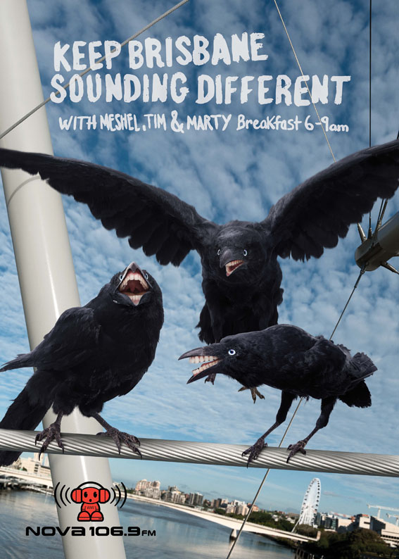 Crows_web.jpg