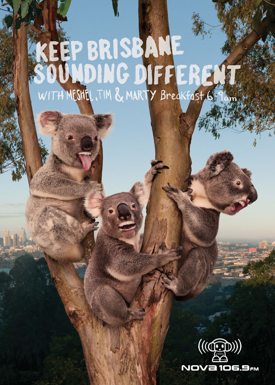 Koala_web.jpg