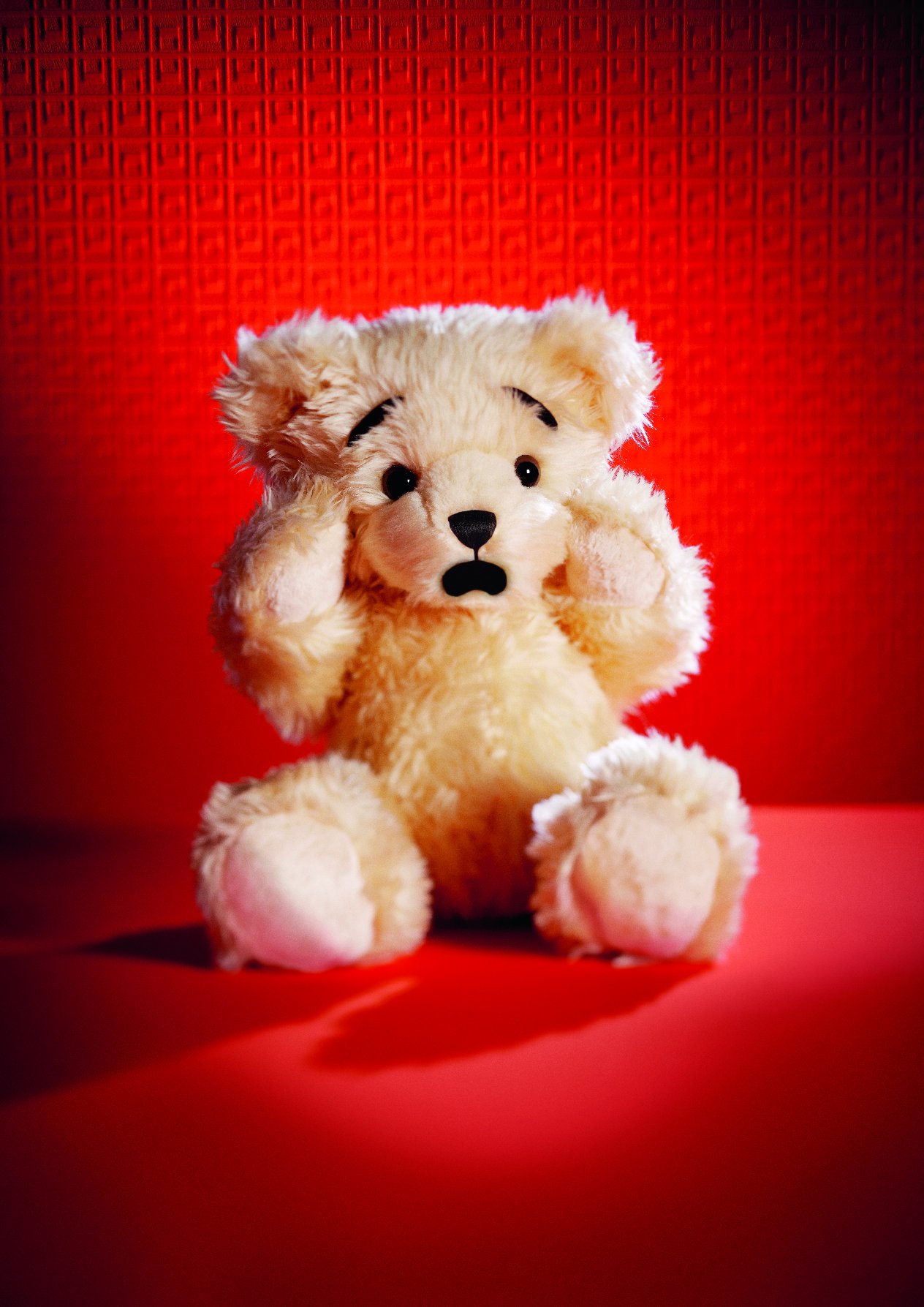 Teddybear image 281010.jpg