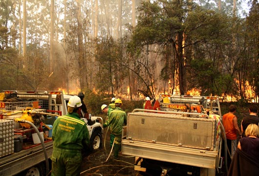 INSIDE THE FIRESTORM (ABC) [1].jpg