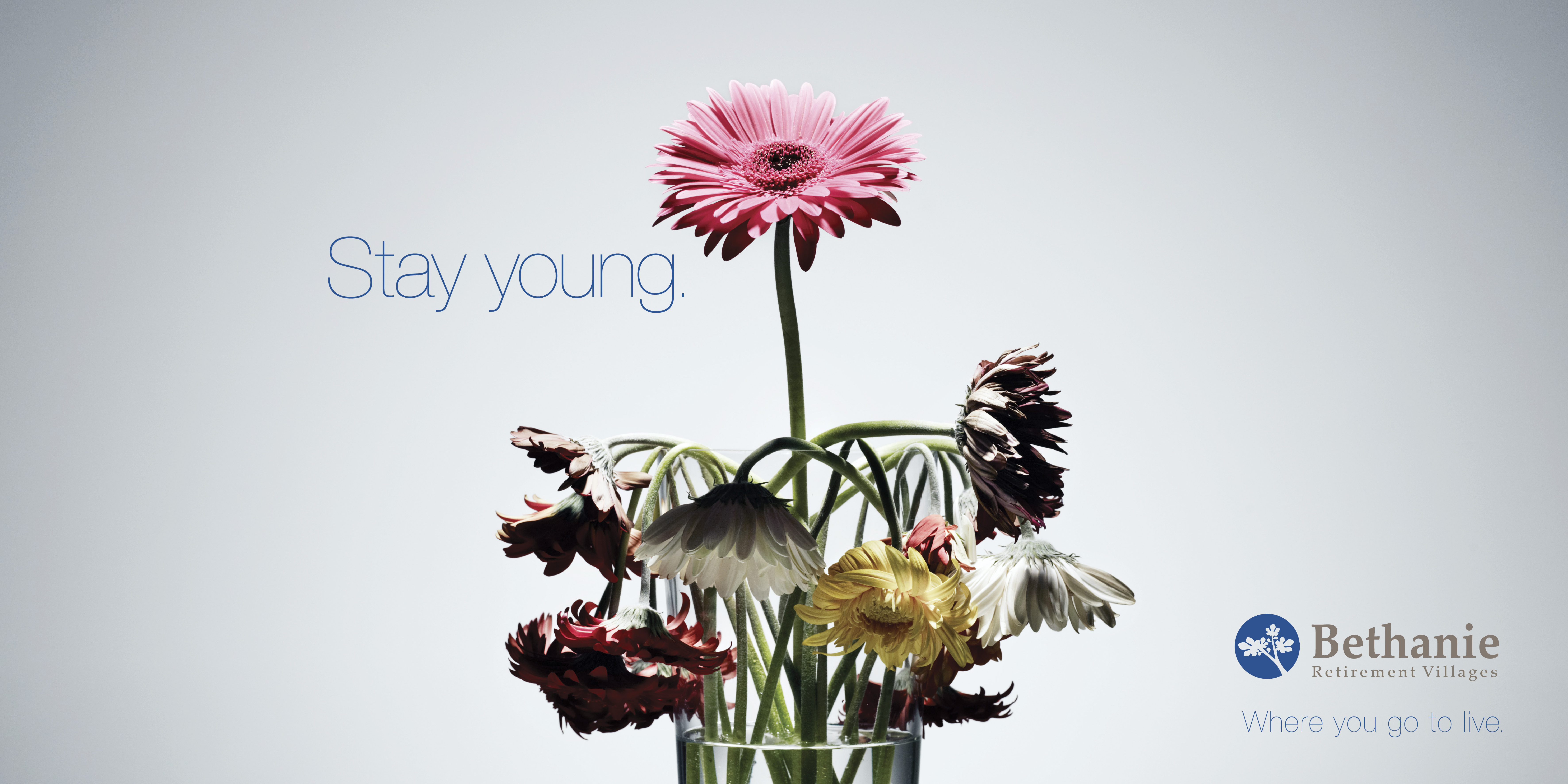 Bethanie_Flower.jpg