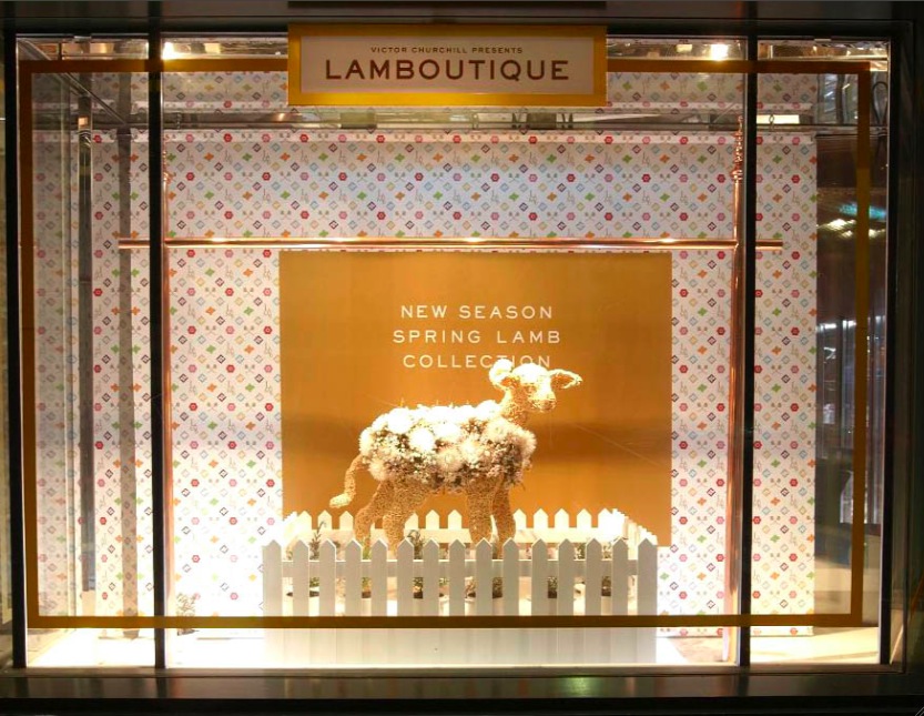 lamb lead.jpg