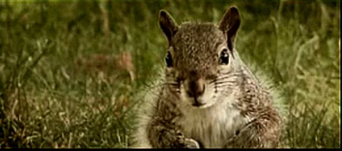 Screen shot 2011-10-12 at 10.19.05 AM.jpg