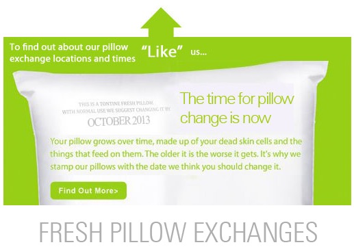 exchange pillows.jpg