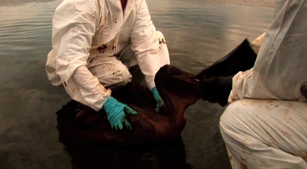 Screen shot 2011-11-26 at 7.52.13 AM.jpg