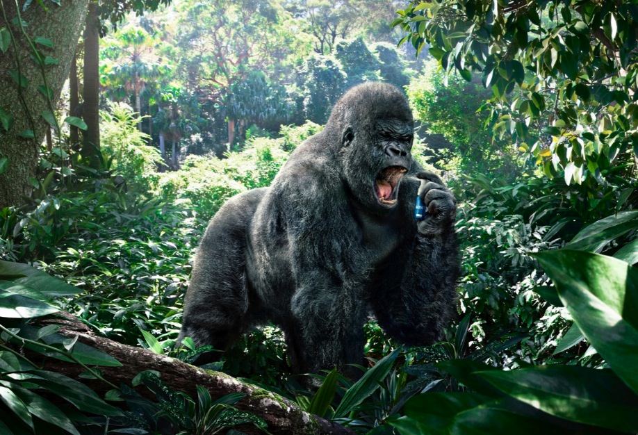 gorilla 1.jpg