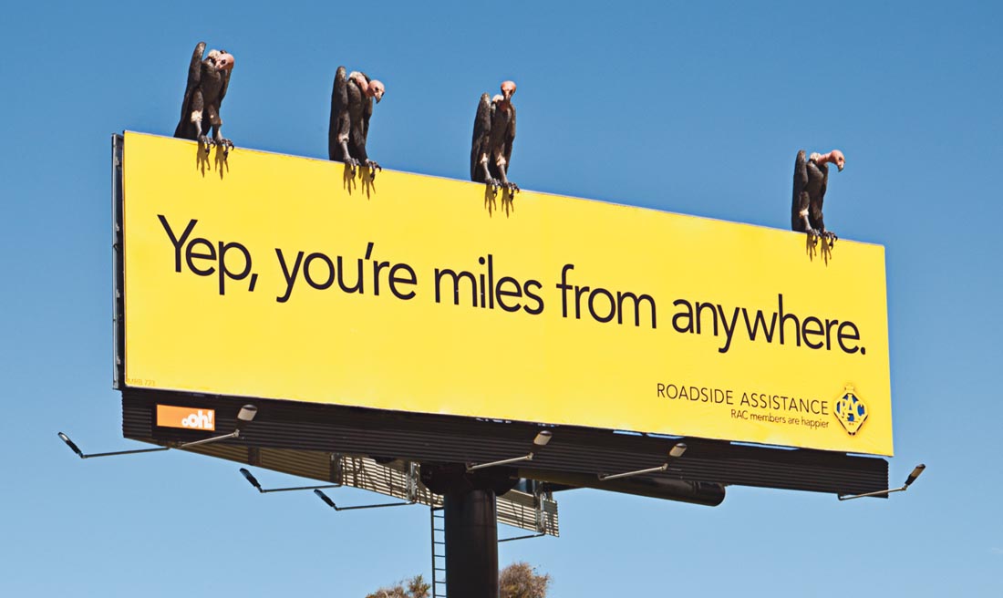 RAC_Vultures_Blog.jpg