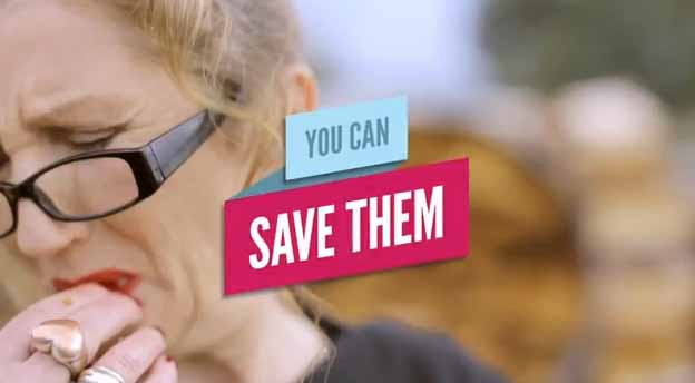 yo can save1.jpg
