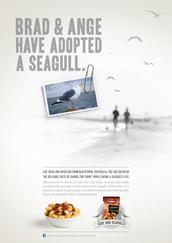 SaveOurSeagulls3.jpg