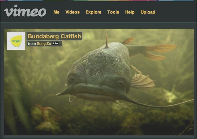 Song Zu vimeo.jpg