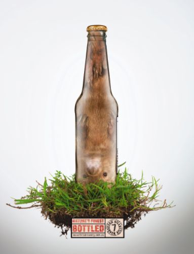 bottled.jpg