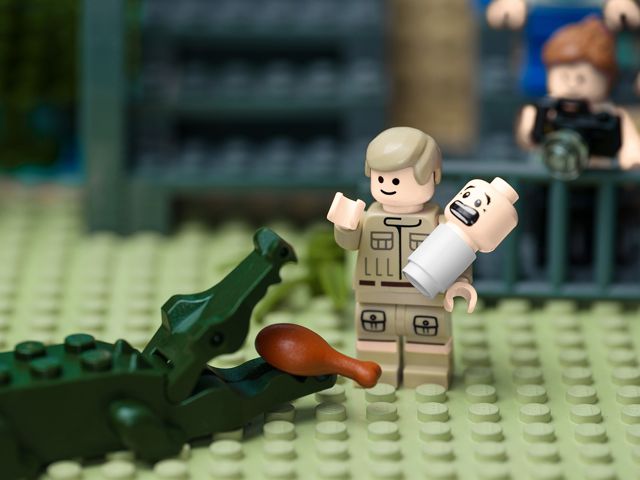 Creating History_SteveIrwin.jpg