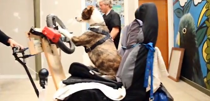 Screen shot 2012-12-04 at 11.04.25 AM.jpg