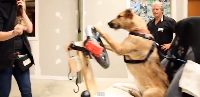 Screen shot 2012-12-04 at 11.04.42 AM.jpg