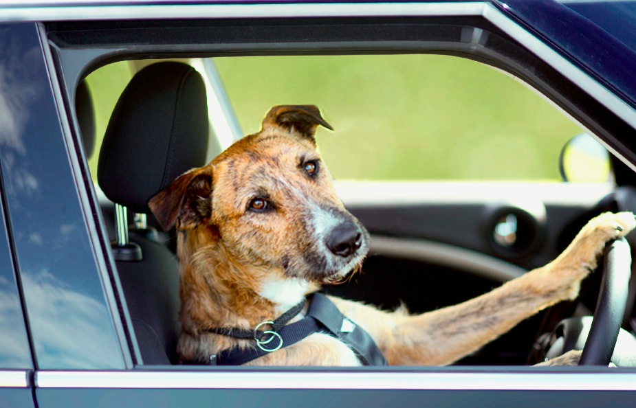 Screen shot 2012-12-04 at 11.19.29 AM.jpg