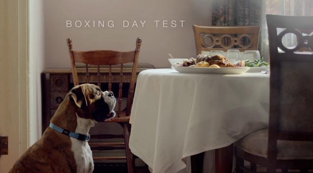 Boxer1.jpg