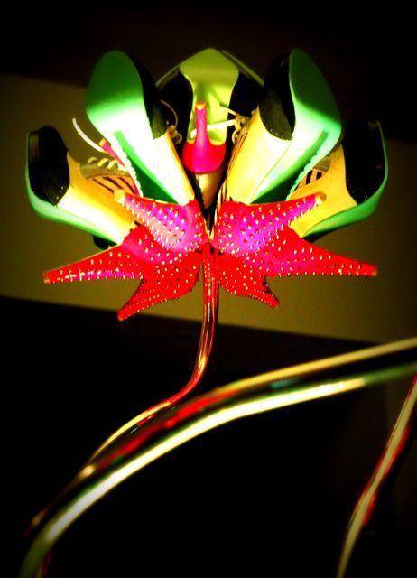 Shoes of Prey Store_07.jpg