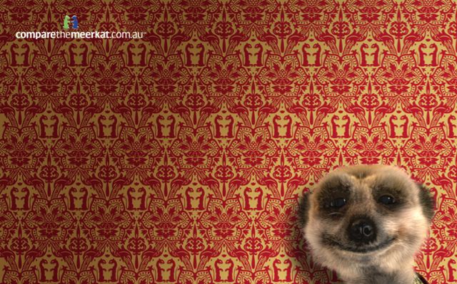 meerkat.jpg