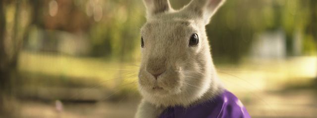 Cadbury_Still2.jpg