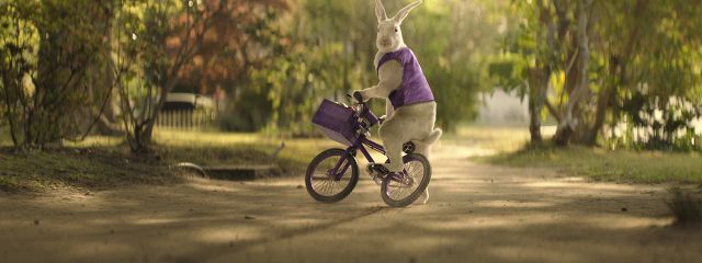 Cadbury_Still3.jpg