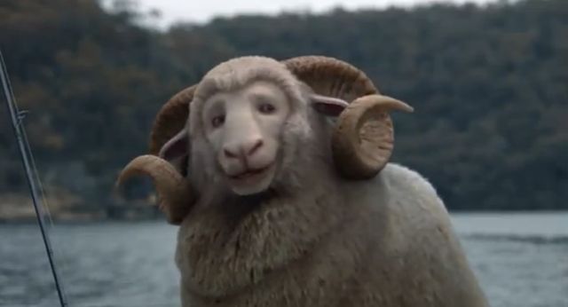 RAM.jpg