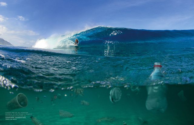 Surfrider 2.jpg