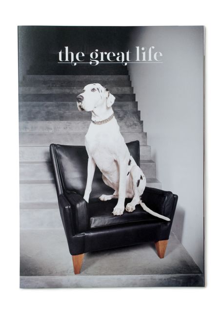 GreatDane.jpg