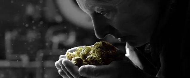 Hops1.jpg