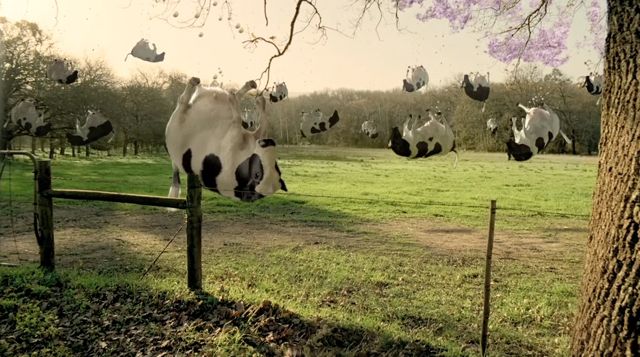 New-look BUBBLY TVC still - Floating Cows.jpg