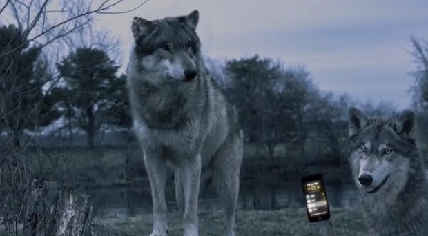 howl.jpg