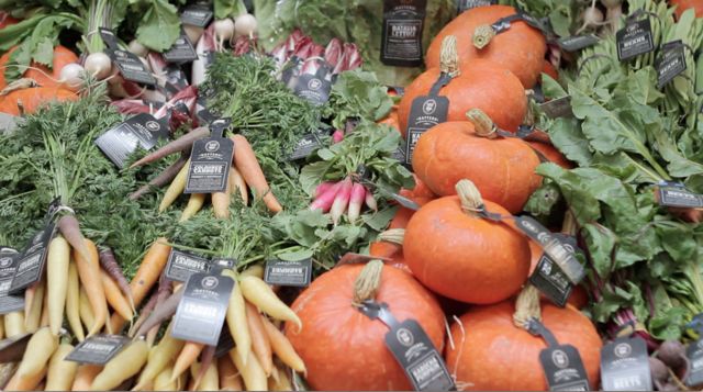 allvegetables.jpg