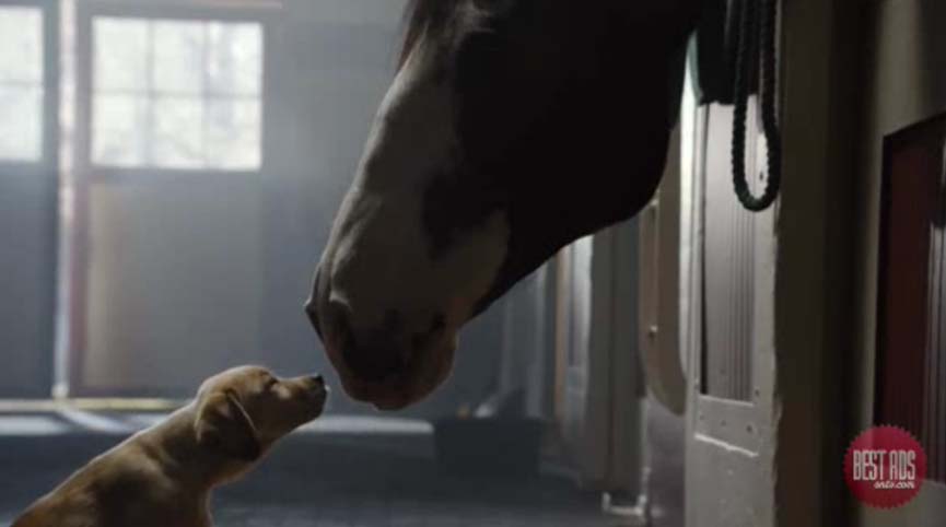 BUDWEISER-PUPPY-LOVE.jpg