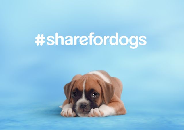 ShareforDogs.jpg
