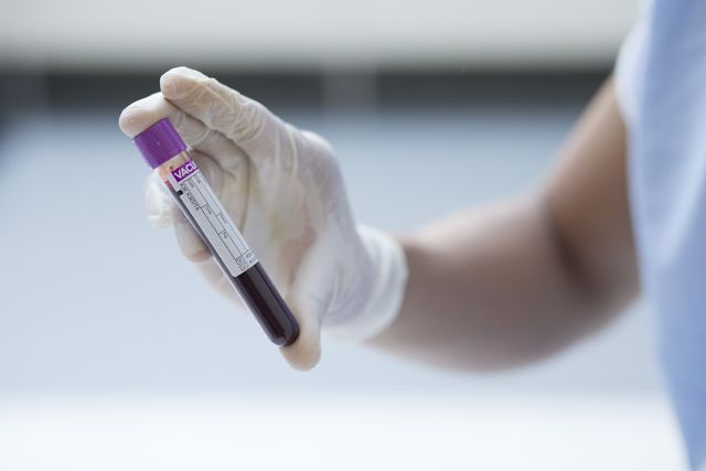 x_Fargo_DNA_008.jpg