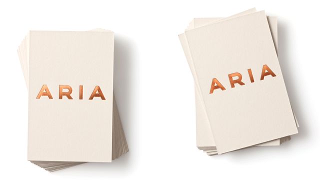 Aria 3 0(72Dpi).jpg