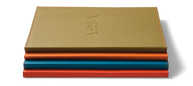 Aria_5(72Dpi).jpg