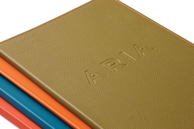 Aria_6a(72Dpi).jpg