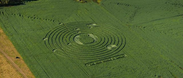 Hunter_Valley_Crop_circle(0002) (2).jpg