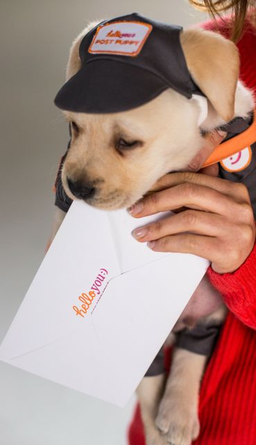 HelloYouPostPuppies2a.jpg