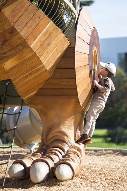 Boy looking inside.jpg