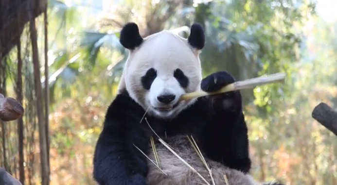 Screen Shot 2014-09-18 at 9.52.53 am.png