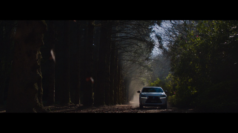 LEXUS_NX_60_.jpg