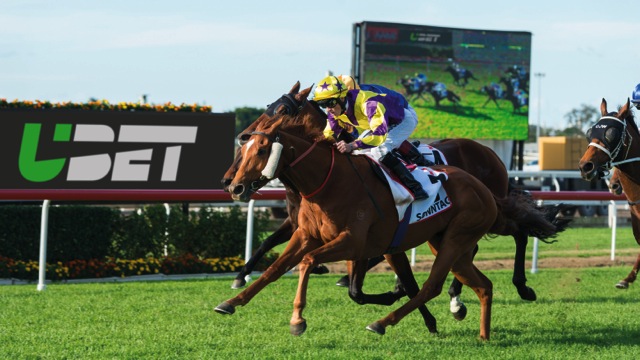 Hulsbosch - UBET image 4.jpg