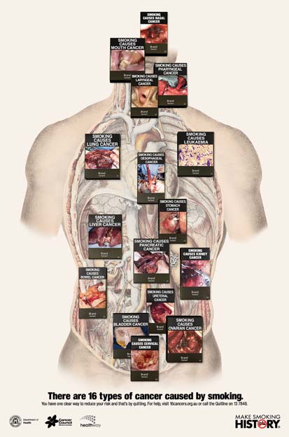 16_Cancers_print.jpg