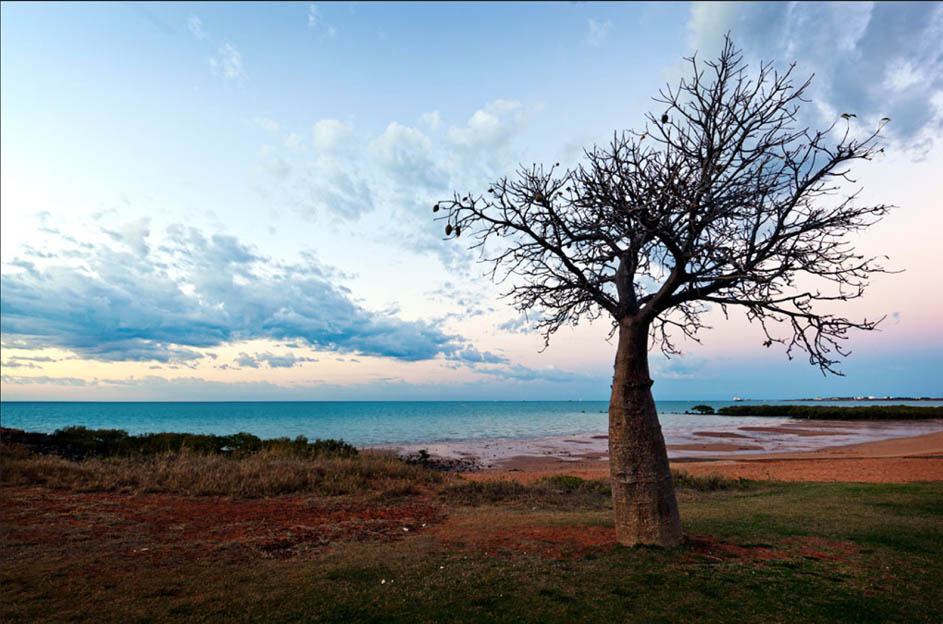 Broome 1.jpg